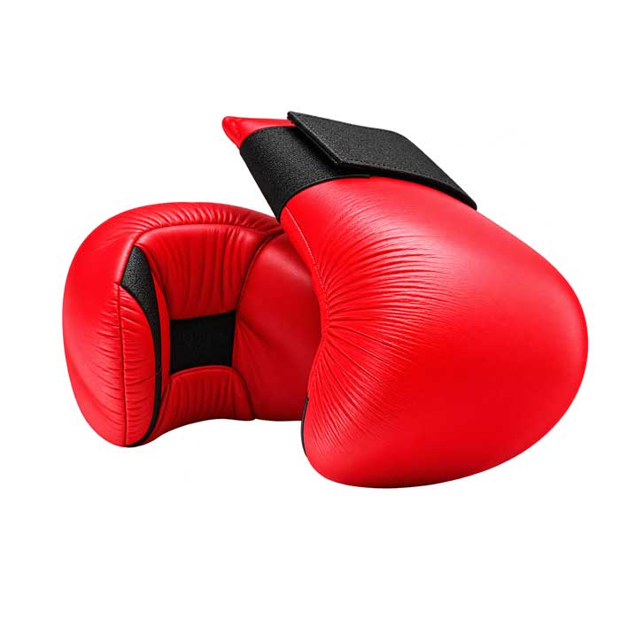 Karate Gloves